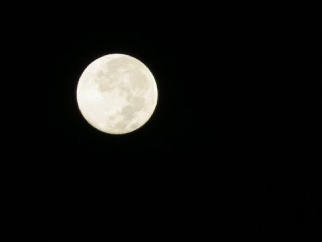 バニラリップ みずき 夜中も会えます?