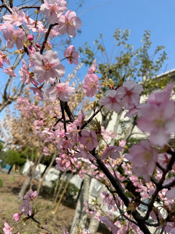 エリザベス 北川 るる 一段落😌