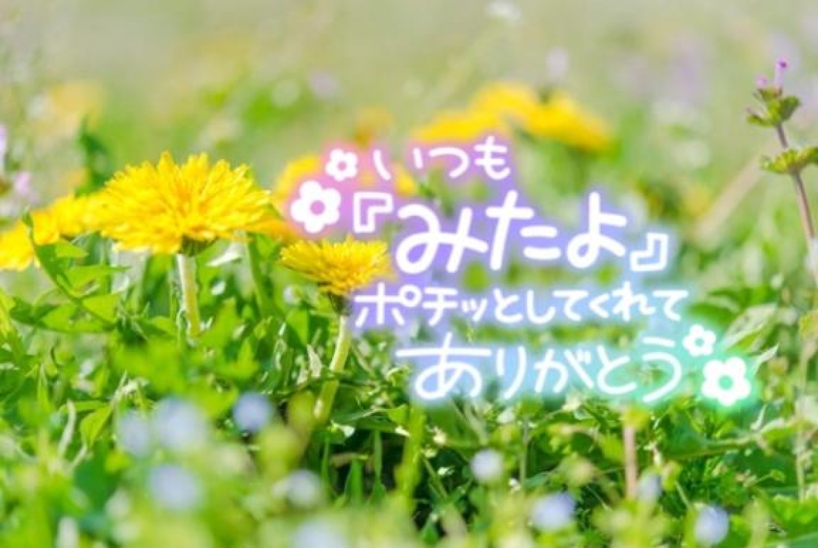 優しいひとづま りみか【ロイヤルOP対応】 みたよありがとう(??????)”ﾍﾟｺﾘｰﾇ