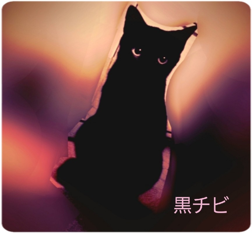 SPAアロマショコラ 一ノ瀬　なな 寒い夜は