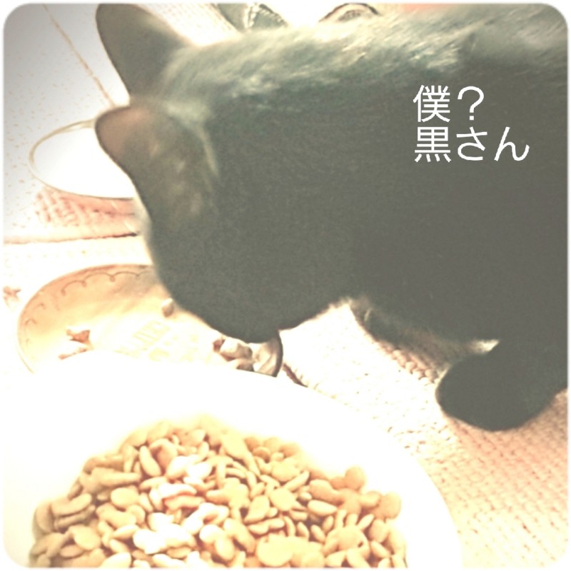 SPAアロマショコラ 一ノ瀬　なな はじめましたー