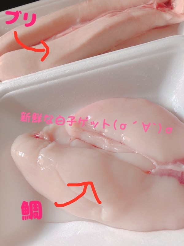 U-S-A 星加　ゆめ