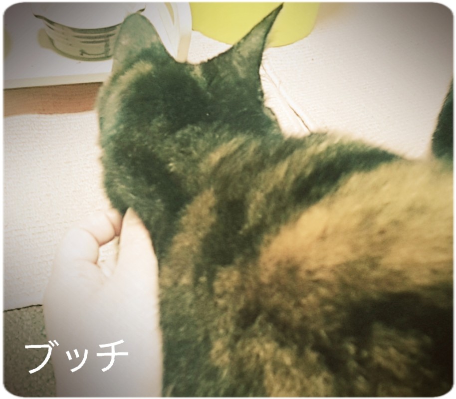 SPAアロマショコラ 一ノ瀬　なな