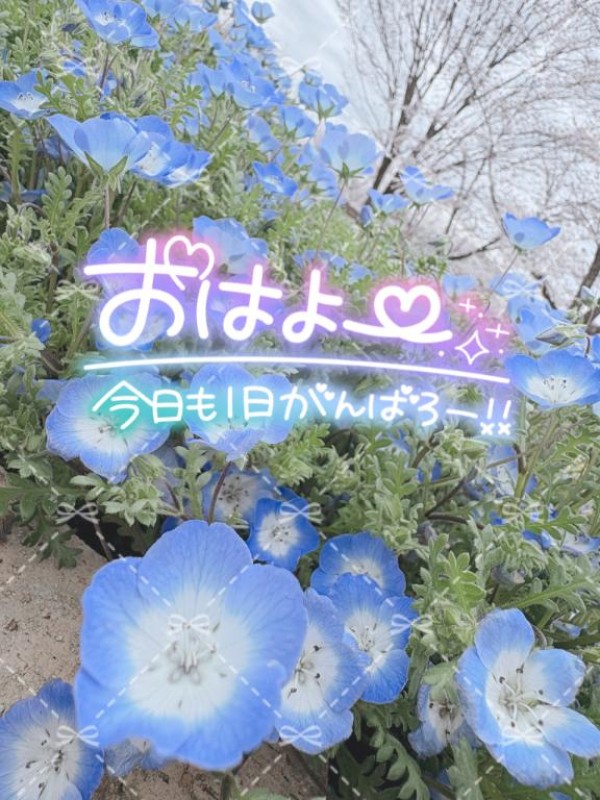 道後しらゆきひめ 宮川　さとみ ♡めちゃ良い天気☀️.°♡