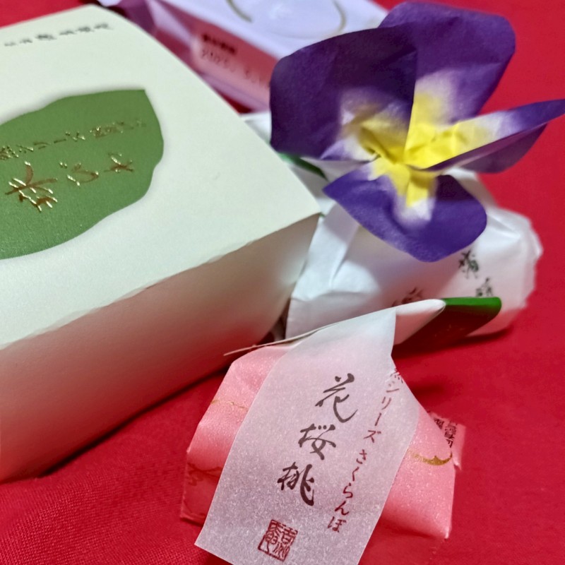 エリザベス 岡本 ゆか ゆかのさくらんぼ・・・☆