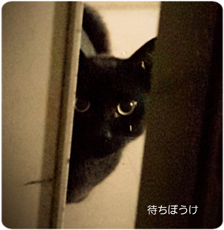 一ノ瀬　ななスタミナ