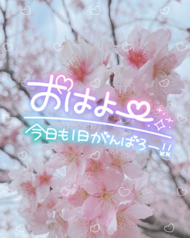 道後しらゆきひめ 宮川　さとみ ?こんにちは?