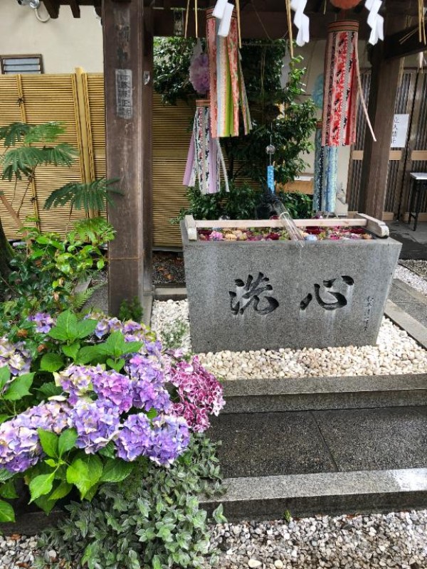 高松しらゆき姫 みつき お礼?