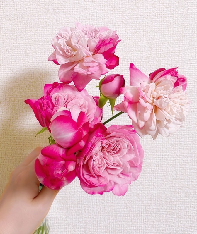 膝麻久庵 白森　さくら 独り言♡自由luv