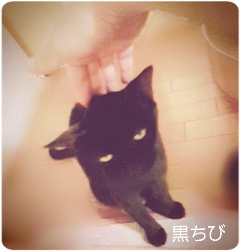 一ノ瀬　なな盛り過ぎチャレンジ