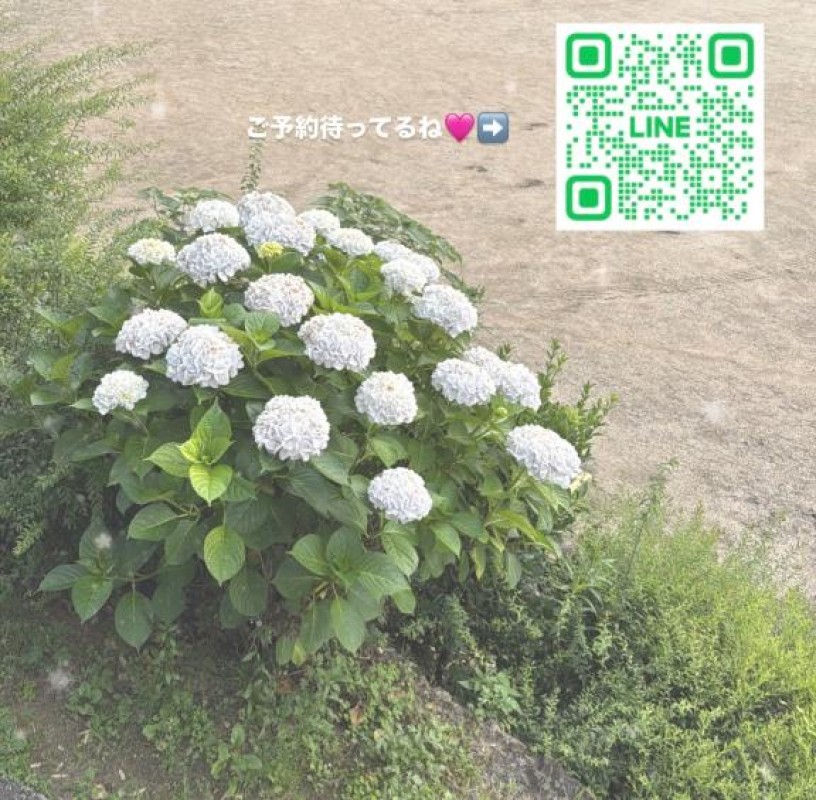 道後しらゆきひめ 月野　うさぎ ?あなただけにバレたい?