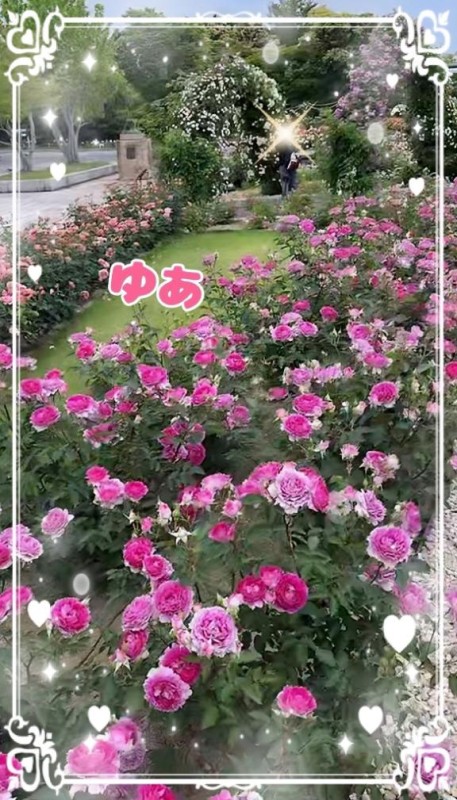 金瓶梅 ゆあ 本指名ロングＨ様?