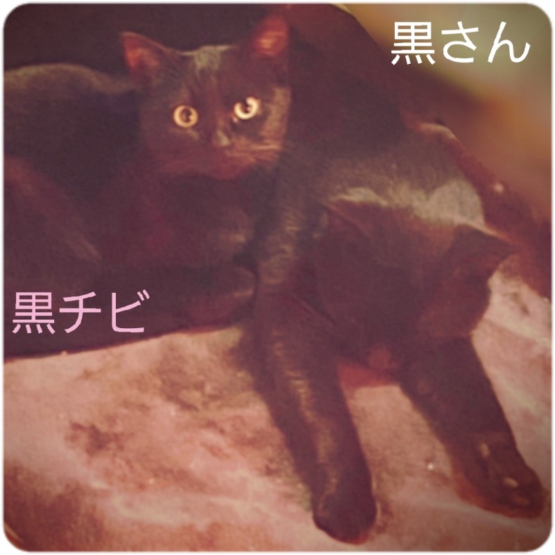 一ノ瀬　ななこんにちは