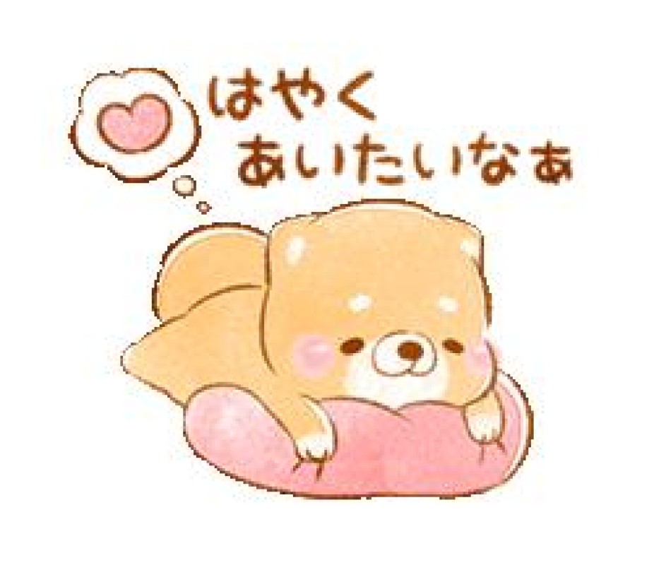 圭（けい）☆最高級のおもてなしオプション無料期間について変更のお知らせ?
