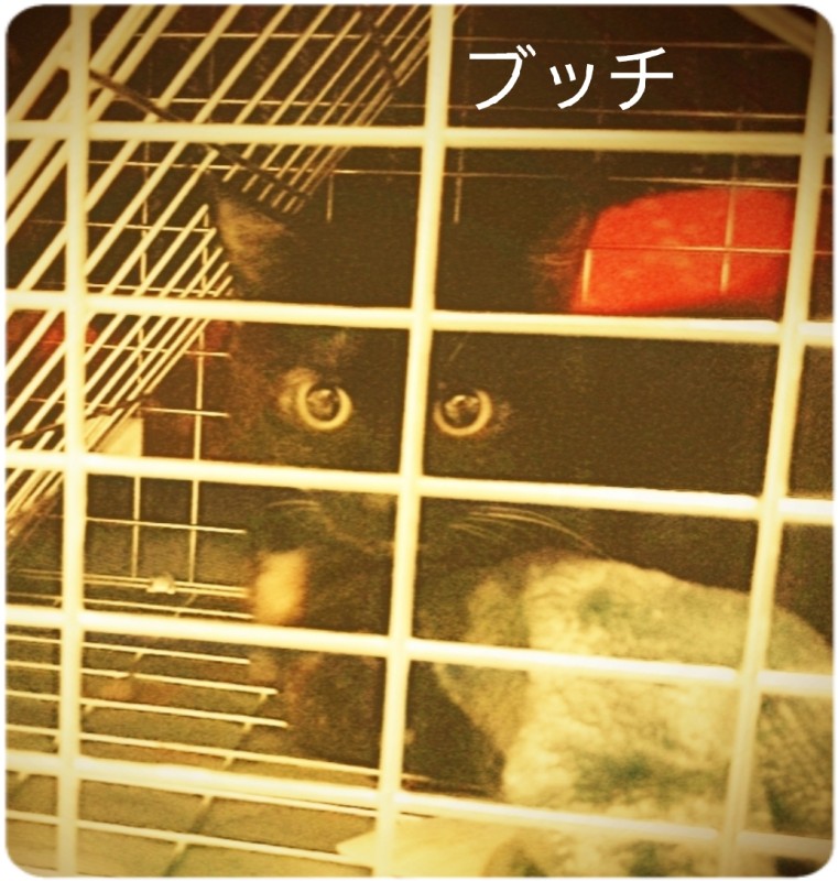 SPAアロマショコラ　メンズエステ 一ノ瀬　なな おはようございます
