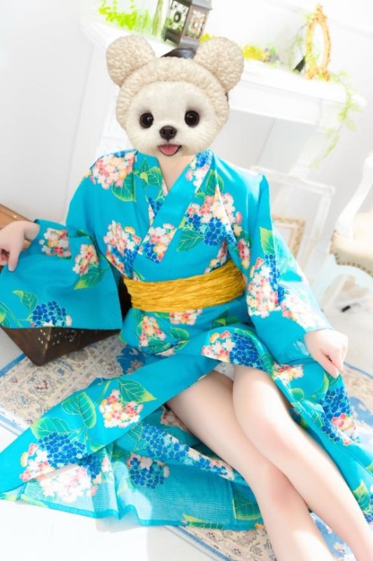 るな終わり?