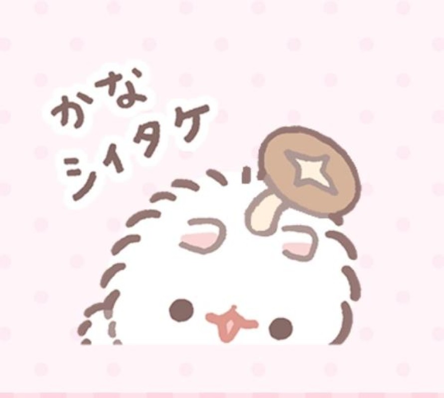 英乃國屋 らな 本日のお礼と明日の出勤??