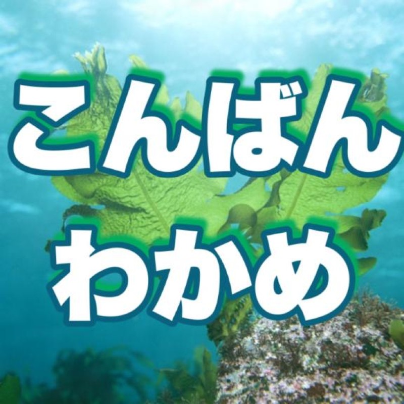 優しいひとづま りみか【ロイヤルOP対応】 こんばんわかめ 実在したのか！