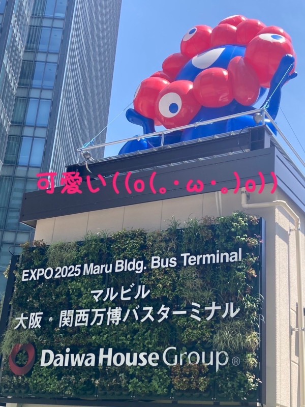 星加　ゆめ大阪1日目|ω･)ﾉ♥