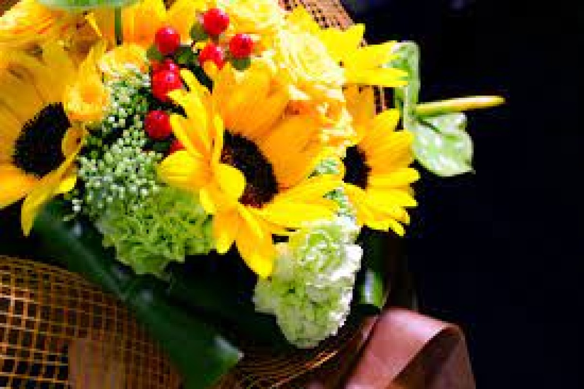 U-S-A 渚　おと 暑いですね🌻