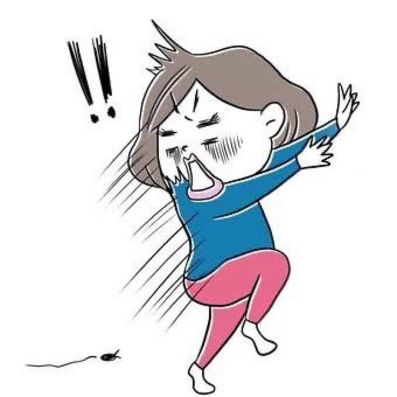道後しらゆきひめ 白川　つづり 無理かもしれない。
