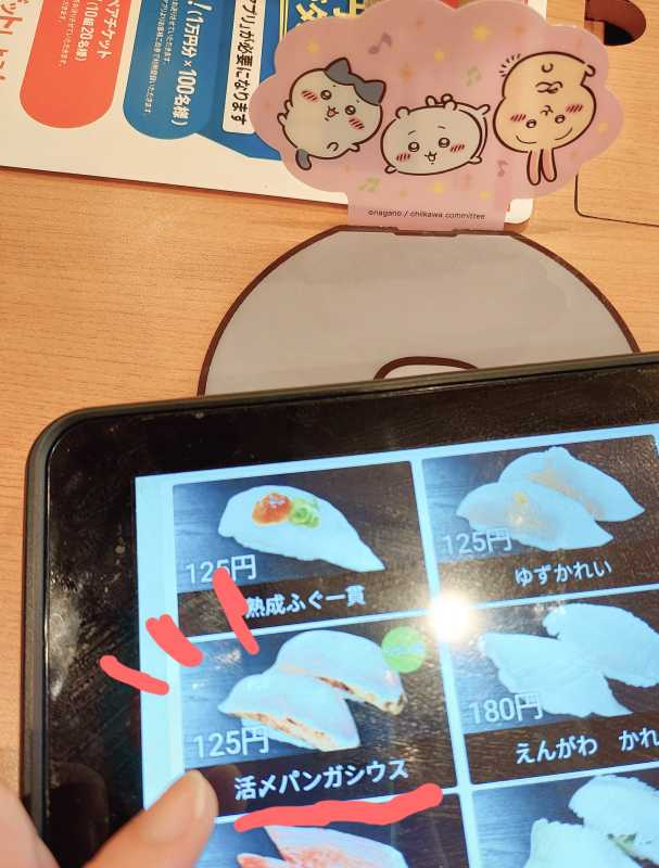上村　みおパンガシウス