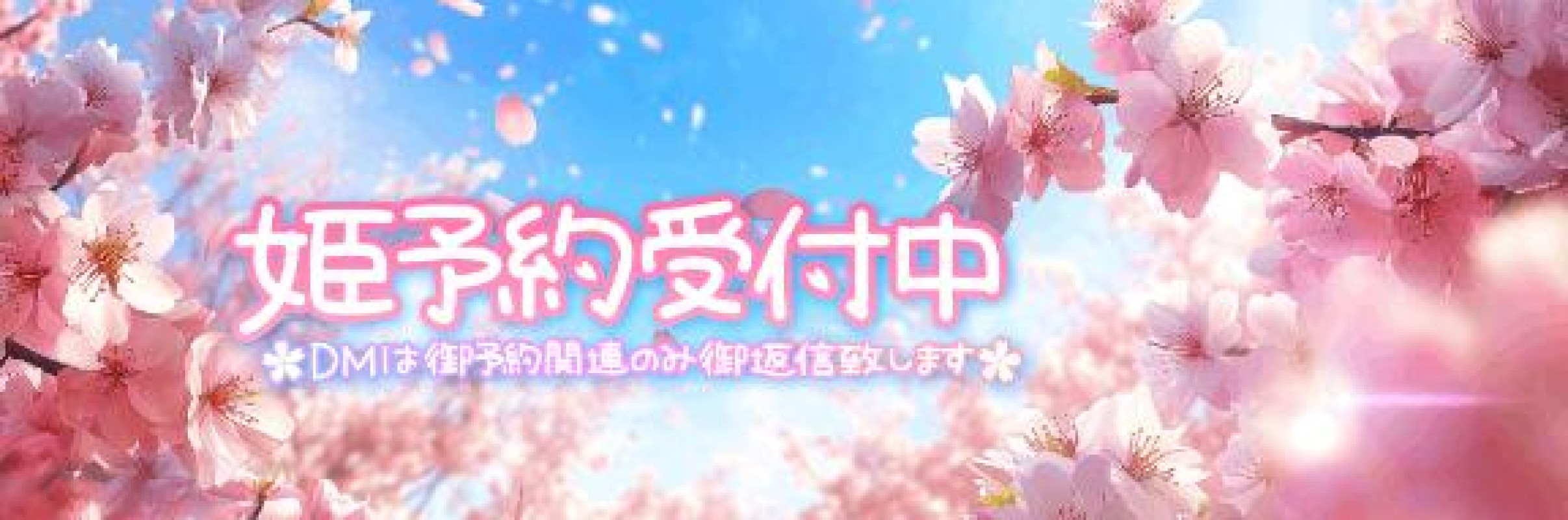 ちふゆ【ロイヤルOP対応】明日?