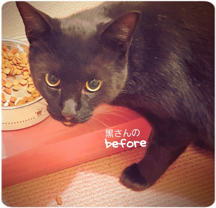 SPAアロマショコラ　メンズエステ 一ノ瀬　なな おはようございます