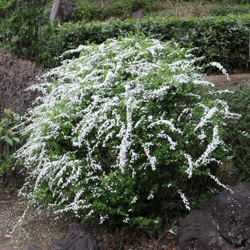 るな[お題]from:たくじぃさん