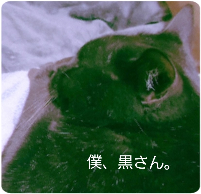 SPAアロマショコラ　メンズエステ 一ノ瀬　なな