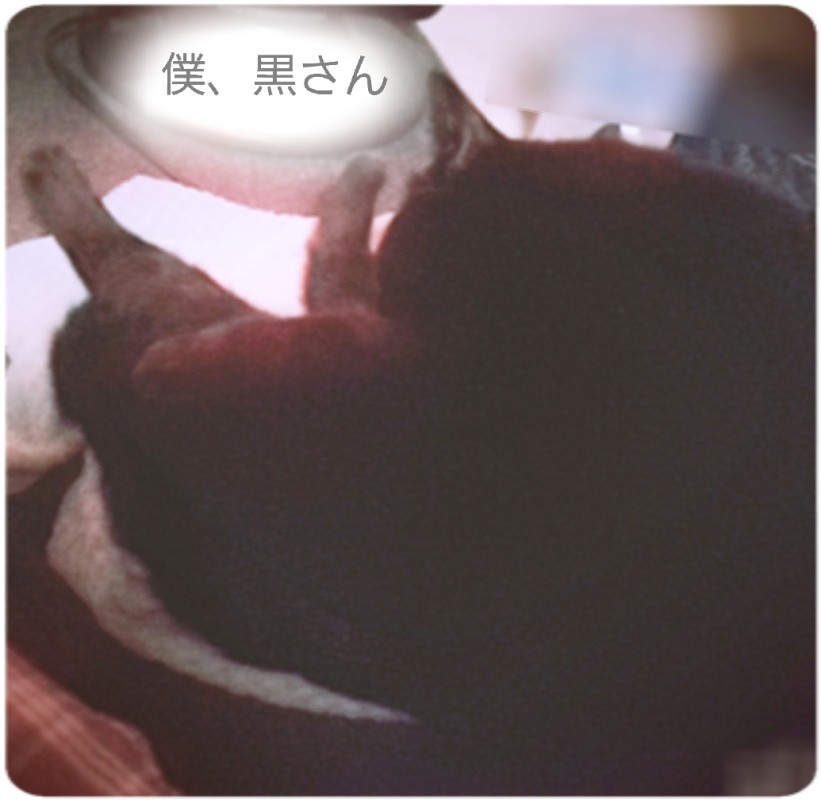 一ノ瀬　ななここのｺﾚ!