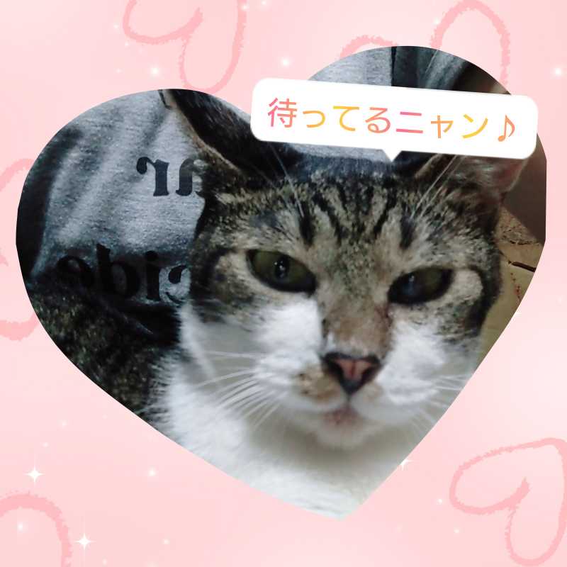 目黒　のあ本日、います！