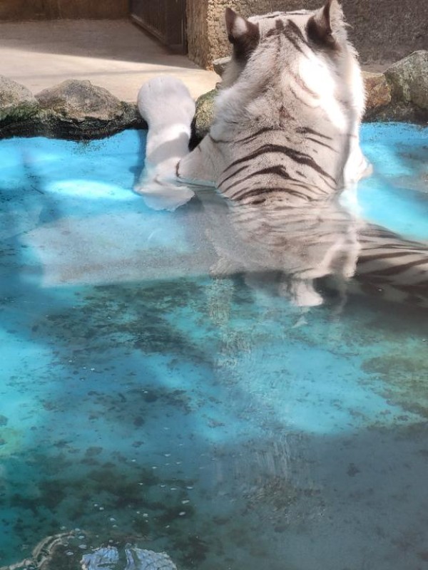 みらい☆スレンダー美BODYおはよう???