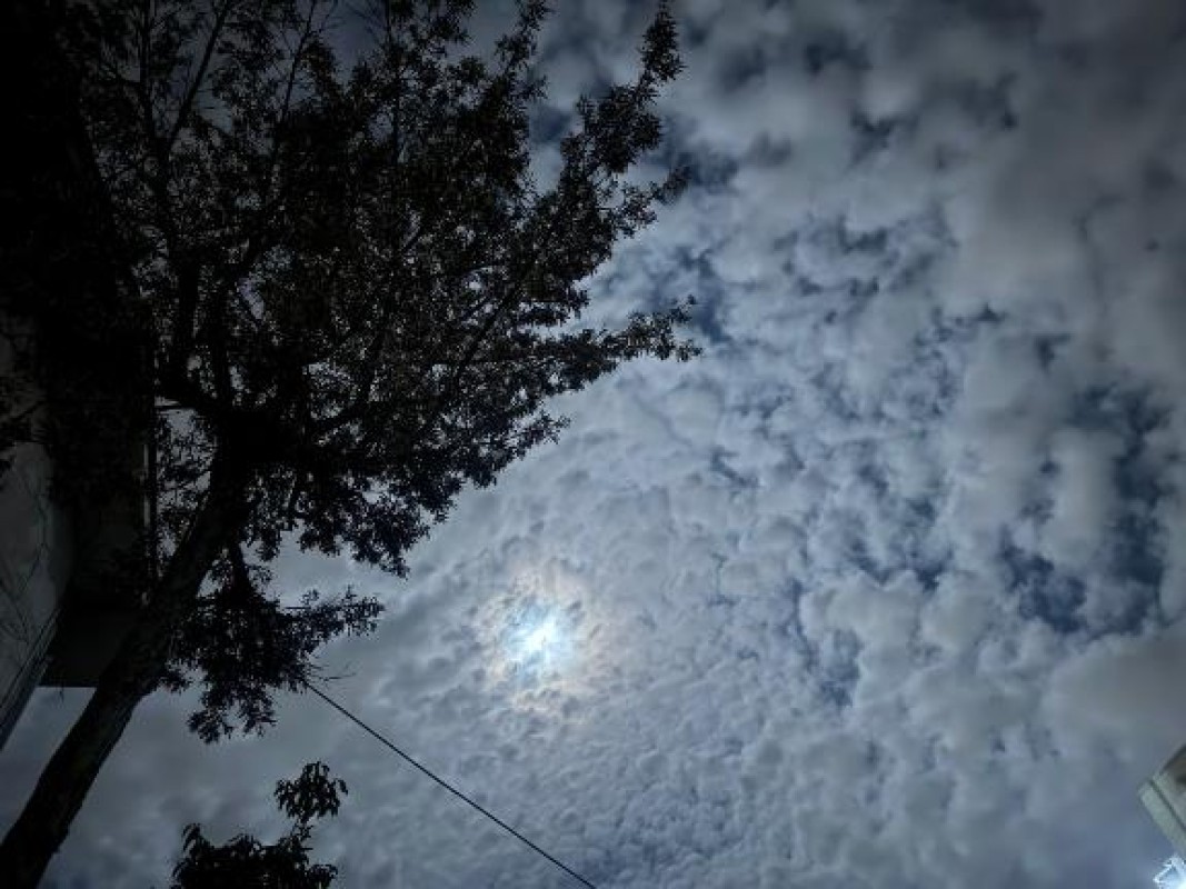 りんな～マット＆M性感～おやすみ?