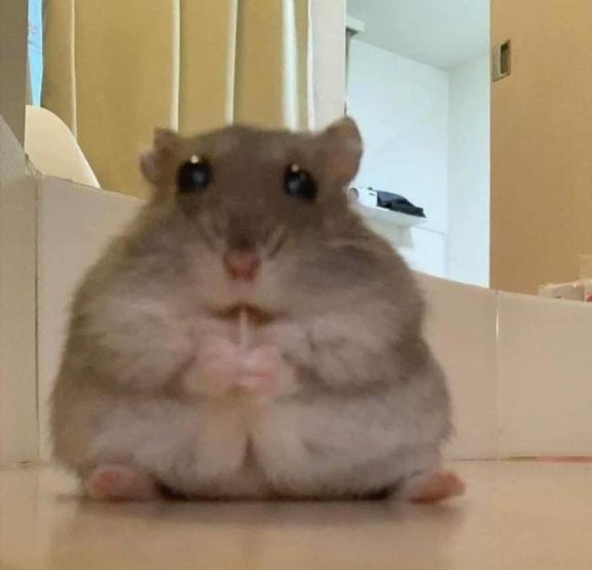 青葉　ことぶき☆あのちゃん激似！おはよん?