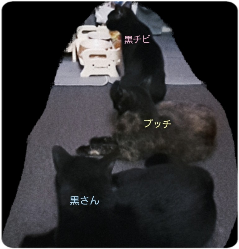 SPAアロマショコラ　メンズエステ 一ノ瀬　なな 定食