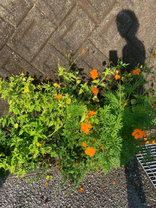 みうこんばんは\(//∇//)\