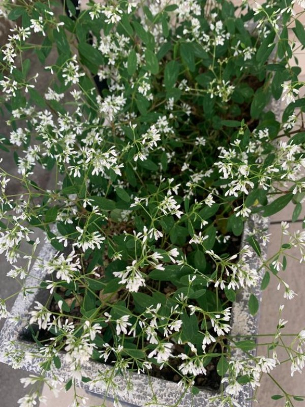 みうこんにちは\(//∇//)\