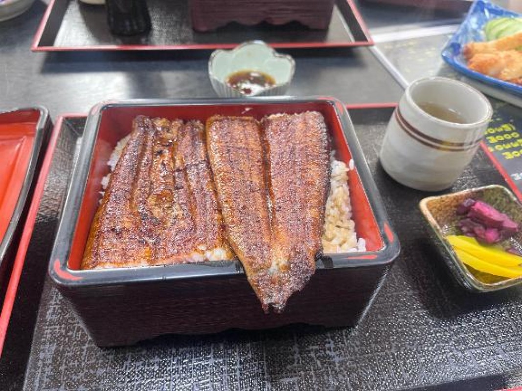 南 こはる～みなみ こはる～こんばんは