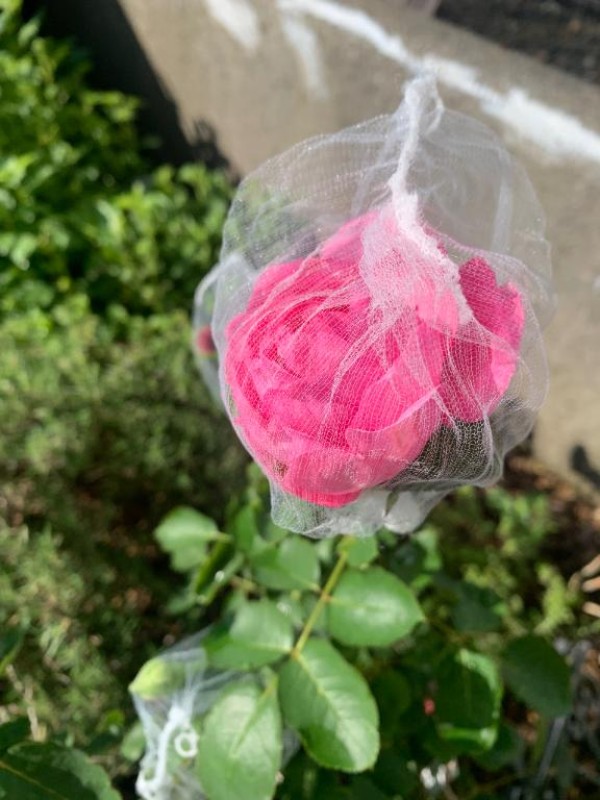 みうニュース見たら?