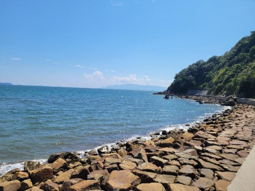 みらい☆スレンダー美BODYありがと??