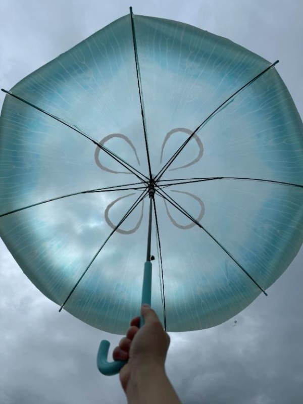 道後しらゆきひめ 白川　つづり 雨の日も楽しく過ごす