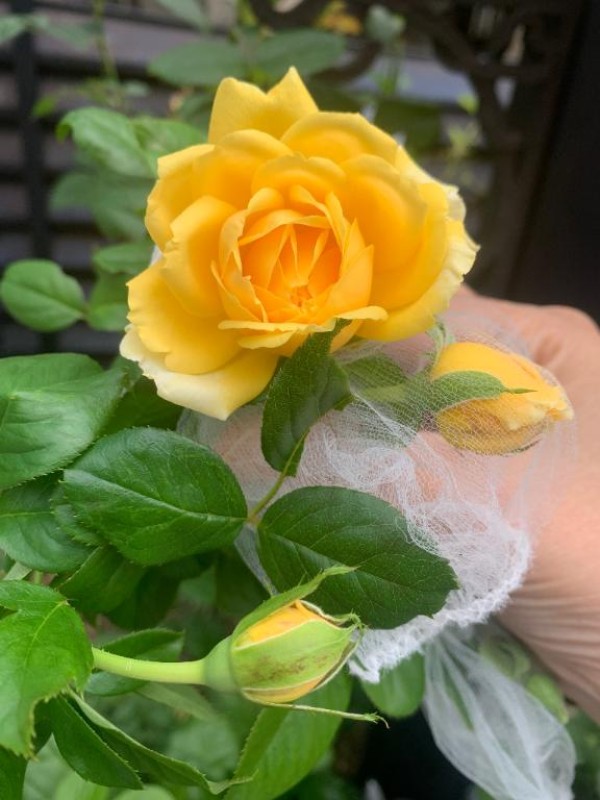 みう今日\(//∇//)\