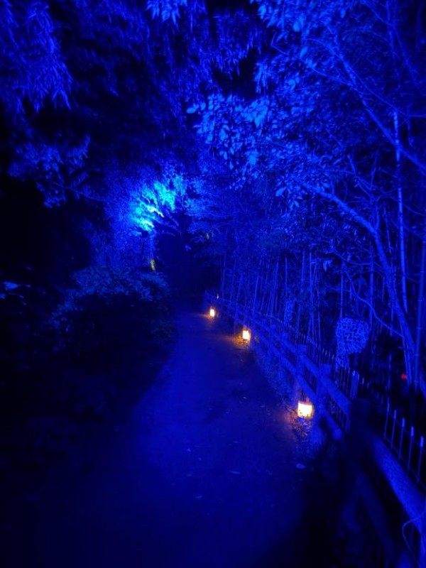 高松しらゆき姫 らら 人に与えない者はいずれ人から何も貰えなくなる。