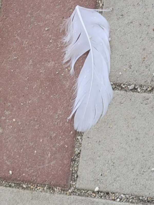 みらい☆スレンダー美BODY?