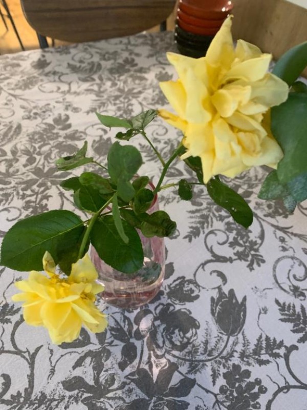 みうこんにちは\(//∇//)\