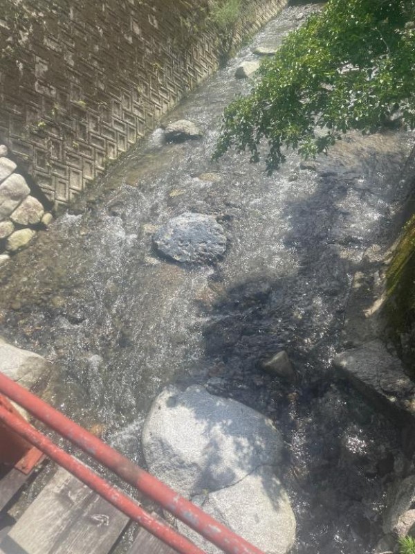 愛ドル学園　☆制服着たまま部☆ 綾波れい☆女神の降臨 ^_ ̫ _^