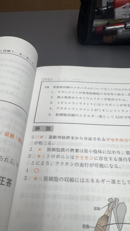 道後しらゆきひめ 及川　れな おはよう〜☀️