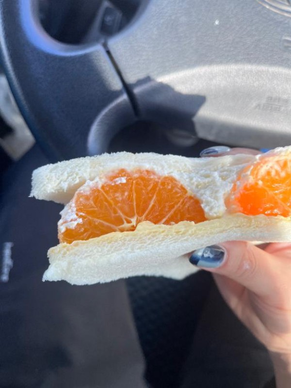 南 こはる～みなみ こはる～たまには