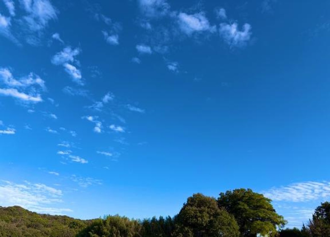 高松しらゆき姫 らら 突然の秋?